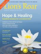 Lion's Roar - November 2016