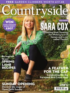 Countryside - 06.2019 Countryside - 06.2019