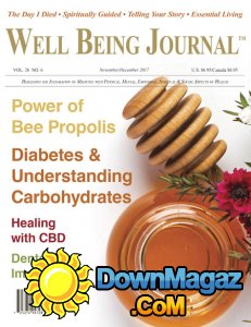Well Being Journal - 11/12 2017
