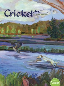 Cricket - 03.2019 Cricket - 03.2019