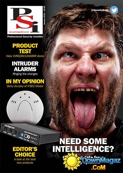 Professional Security Installer - January 2015