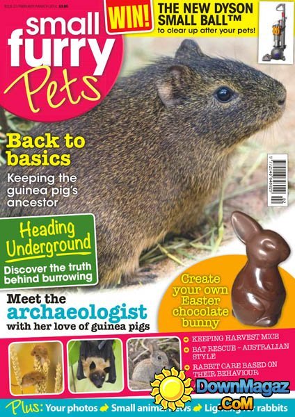 Small Furry Pets - February-March 2016 Small Furry Pets - February-March 2016