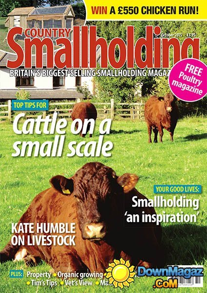 Country Smallholding UK - October 2015 Country Smallholding UK - October 2015