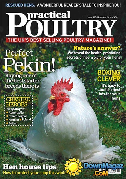 Practical Poultry - November 2014