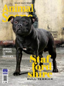 Animal Scene - 05.2019 Animal Scene - 05.2019