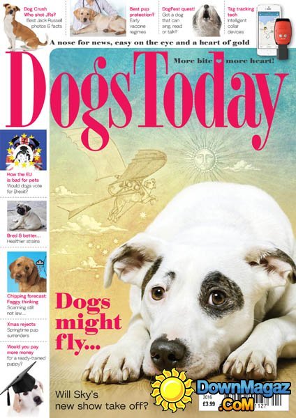 Dogs Today - April 2016 Dogs Today - April 2016