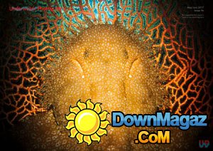 Underwater Photography - 05/06 2017 Underwater Photography - 05/06 2017