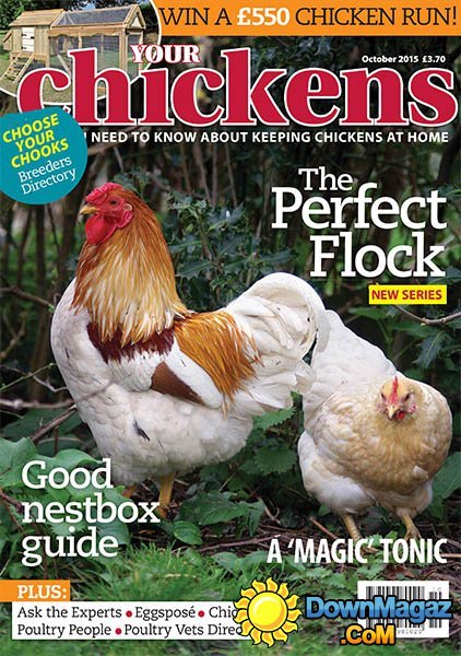 Your Chickens UK - October 2015 Your Chickens UK - October 2015