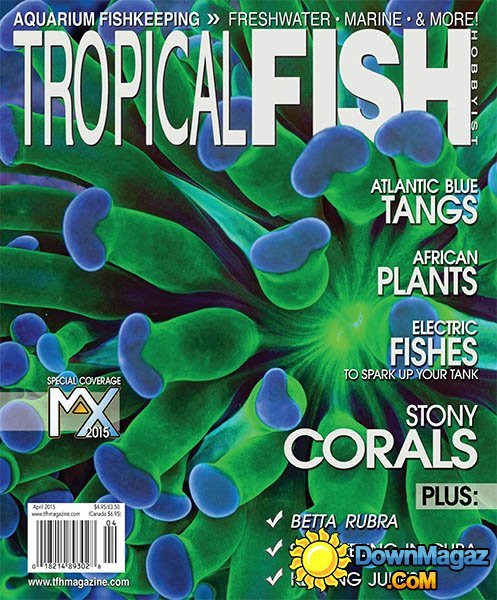 Tropical Fish Hobbyist - April 2015 Tropical Fish Hobbyist - April 2015