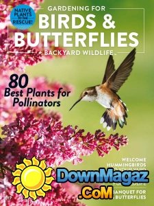 Gardening for Birds and Butterflies + Backyard Wildlife 2017 Gardening for Birds and Butterflies + Backyard Wildlife 2017