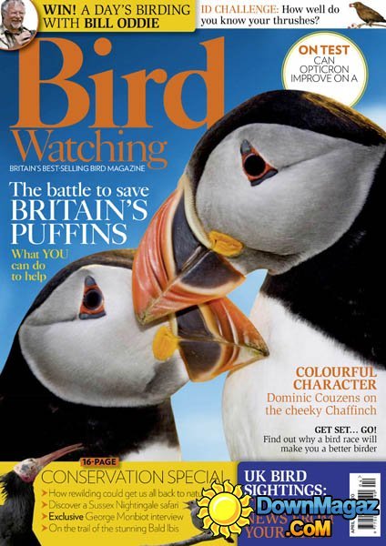 Bird Watching UK - April 2016 Bird Watching UK - April 2016
