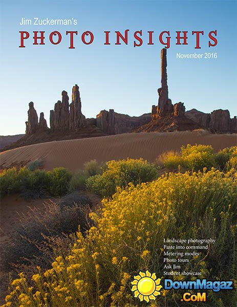Photo insights - November 2016