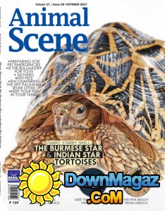 Animal Scene - 10.2017 Animal Scene - 10.2017