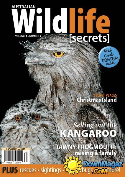 Australian Wildlife Secrets Vol.3 No.2 Australian Wildlife Secrets Vol.3 No.2