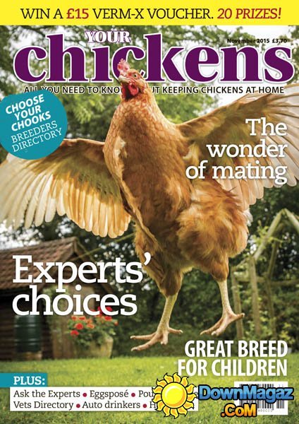 Your Chickens UK – November 2015 Your Chickens UK – November 2015