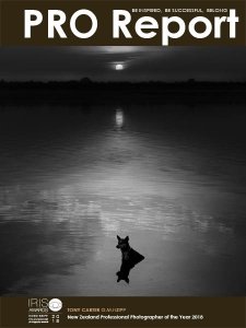 Nzipp Pro Report - Iris Awards 2018 Nzipp Pro Report - Iris Awards 2018