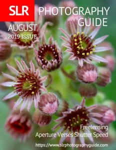 SLR Photography Guide - 08.2019