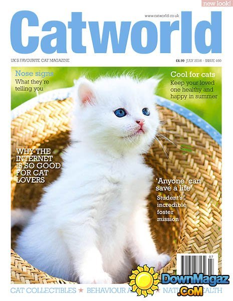 Catworld - July 2016 Catworld - July 2016