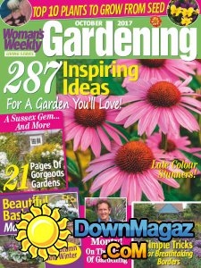 Woman's Weekly Living Series - 10.2017 Woman's Weekly Living Series - 10.2017