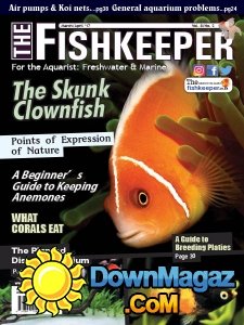 The Fishkeeper - 03/04 2017 The Fishkeeper - 03/04 2017