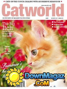 Cat World - 08.2017 Cat World - 08.2017