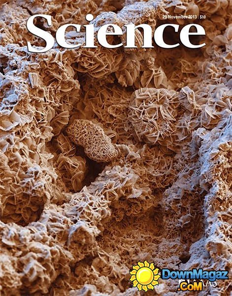 Science Magazine - 29 November 2013 Science Magazine - 29 November 2013