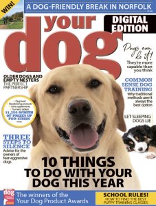 Your Dog - 01.2020 Your Dog - 01.2020