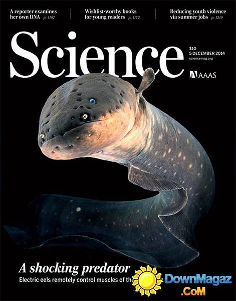 Science - 5 December 2014 Science - 5 December 2014