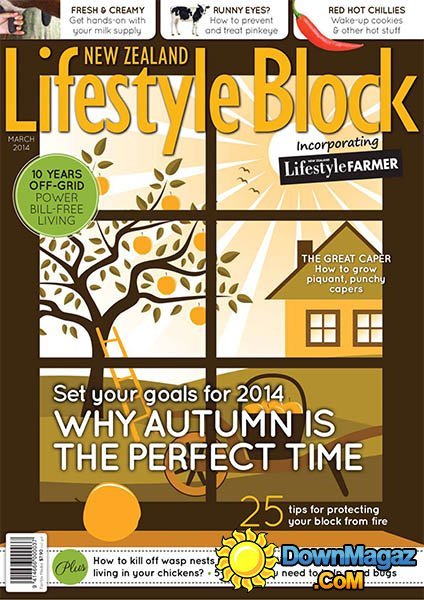 Lifestyle Block New Zealand - March 2014 Lifestyle Block New Zealand - March 2014