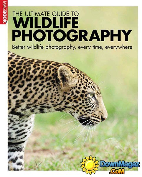 The Ultimate Guide to Wildlife Photography The Ultimate Guide to Wildlife Photography