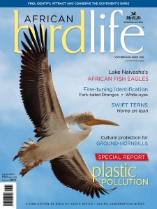 African Birdlife - 09/10 2018 African Birdlife - 09/10 2018