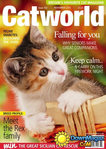 Catworld UK – November 2015 Catworld UK – November 2015