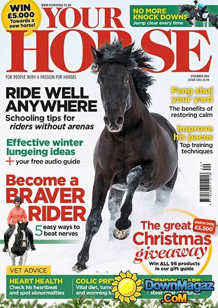 Your Horse - 12.2016 Your Horse - 12.2016