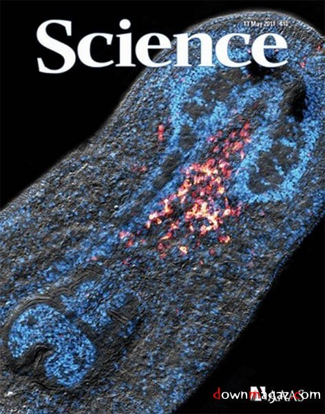 Science - 13 May 2011 Science - 13 May 2011