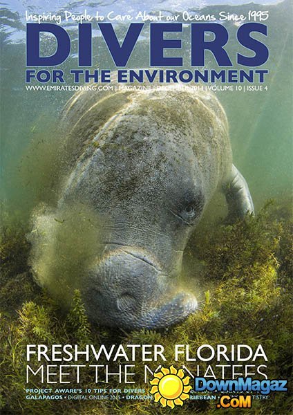 Divers For The Environment - December 2014