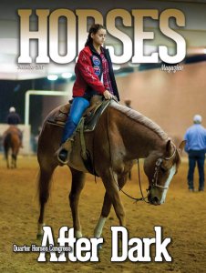 Horses - 12.2017 Horses - 12.2017