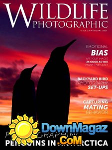 Wildlife Photographic - 05/06 2017 Wildlife Photographic - 05/06 2017