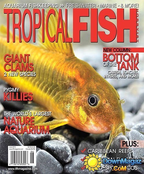 Tropical Fish Hobbyist - June 2015 Tropical Fish Hobbyist - June 2015