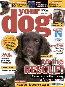 Your Dog - 01.2018 Your Dog - 01.2018