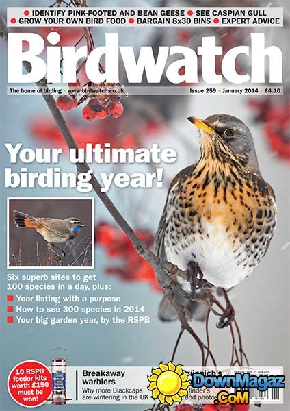 BirdWatch - January 2014