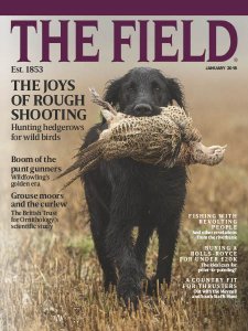 The Field - 01.2018 The Field - 01.2018