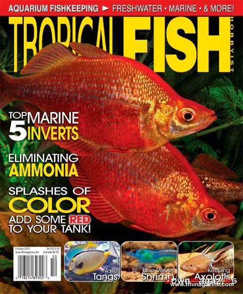 Tropical Fish Hobbyist October 2012 Tropical Fish Hobbyist October 2012