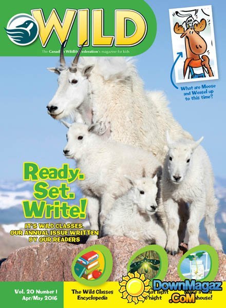 WILD - April-May 2016