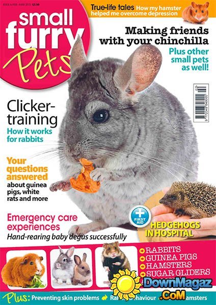 Small Furry Pets Issue 6 - February/March 2013