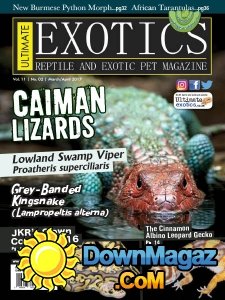 Ultimate Exotics - 03/04 2017 Ultimate Exotics - 03/04 2017
