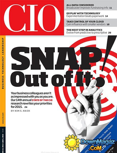 CIO - 01 January 2015