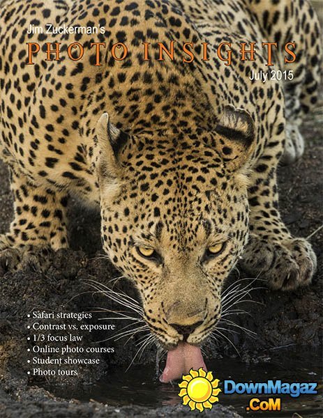 Photo insights - July 2015