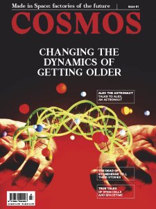 Cosmos - Is. 81 2019 Cosmos - Is. 81 2019