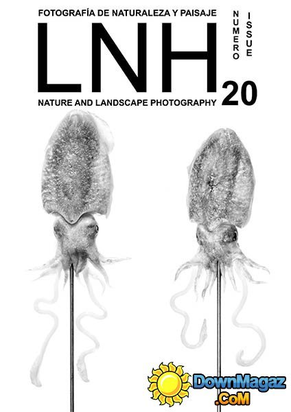 LNH #20 - November/December 2014