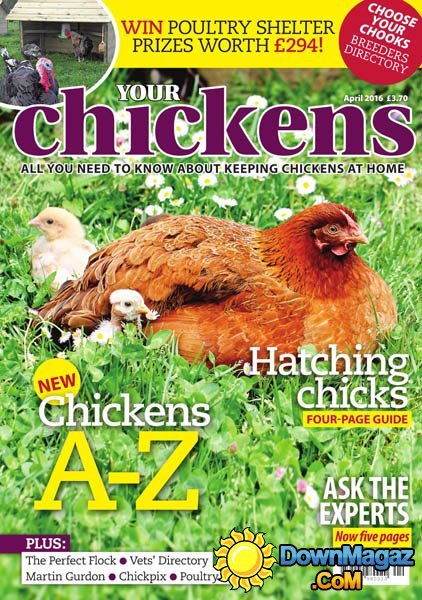 Your Chickens - April 2016 Your Chickens - April 2016